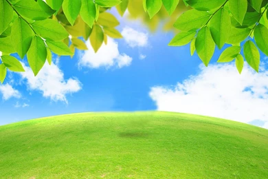 Index Of /wp content/uploads/2015/05