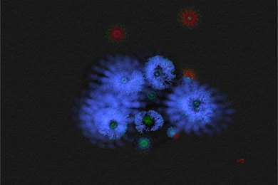 Absract Wallpapers, Desktop Wallpapers, Widescreen Monitor ...