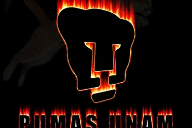 Wallpaper: Astina Wallpapers