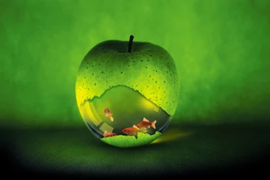 Apple Logo Widescreen