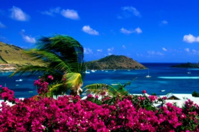 Beautiful Beach Scenes