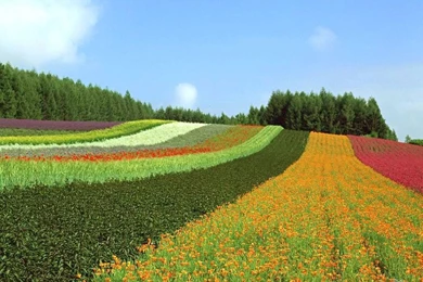 Awesome Rural Scenes Wallpapers