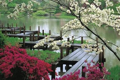 Beautiful Scenes Wallpapers   Free Beautiful Scenes Wallpapers ...