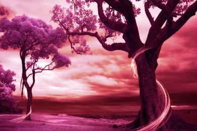 Romantic Scenes Wallpapers 2   Crazy Frankenstein