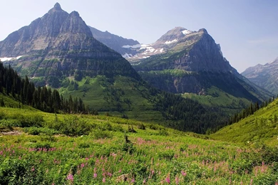 Nature, Beautiful, Anhdep, Wallpapers, Scenes, Content, Original ...