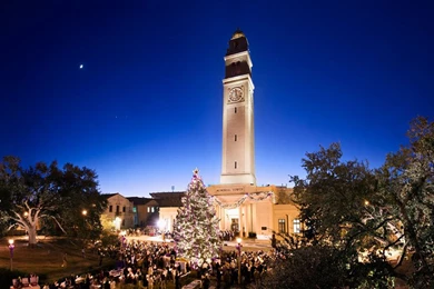 LSU Facebook Page   Comment Policy