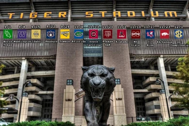 LSU Football Geaux Tigers