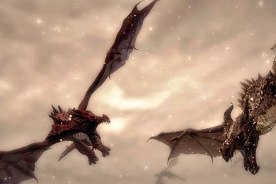 Skyrim Wallpaper: Dogfight By Naytile On DeviantArt