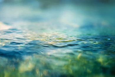 Green Water Flowing Macro Free Wallpapers HD