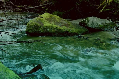 FLOWING WATER WALLPAPER   (