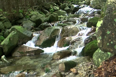 HD Video Of Flowing Water. Live Wallpaper. Waterfall Motion Loop ...