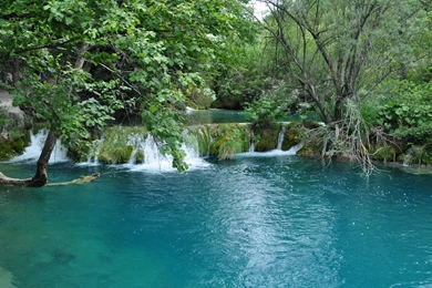 Wallpaper: Nature, River, Waterfalls, Trees, Flowing Water, Green ...