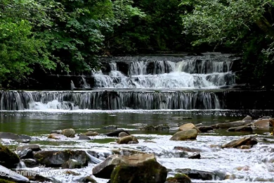 RELAXING SOUNDS FOR SLEEPING Water Flowing Waterfall Sound Bird ...
