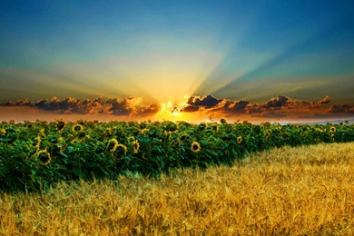 Download Stunning Sunset Wallpapers 8386 1920x1080 Px High ...