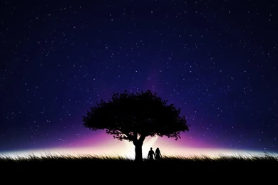 Starry Night Couple Nexus 5 Wallpapers, Nexus 5 Wallpapers And ...