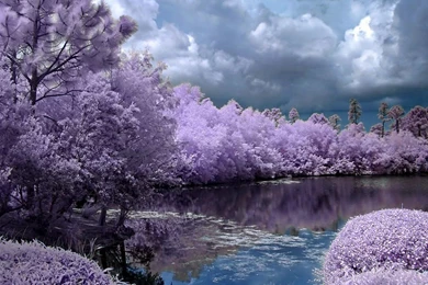 Stunning Wallpapers Of Lakes