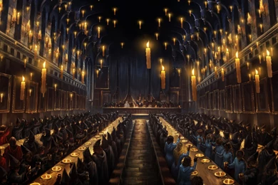 Pomona Sprout   Harry Potter Wiki   Wikia