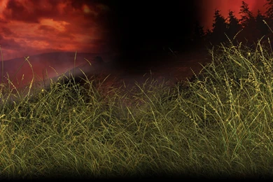 LEGO Harry Potter: Years 5 7 For Mac