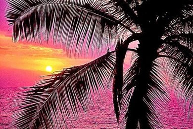 Girly Backgrounds Desktop