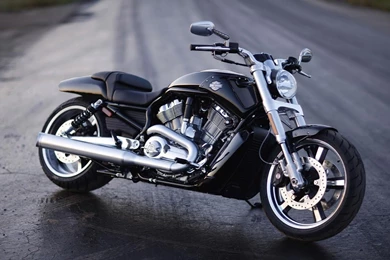 Harley Davidson Bikes HD Wallpapers Download 1080p.