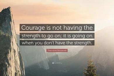 Perseverance Quotes (36 Wallpapers)   Quotefancy