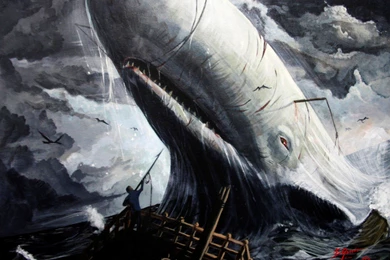 Awesome Moby Dick Wall Paper