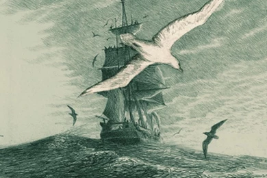 Moby Dick Wallpapers   Wallpapers Cave