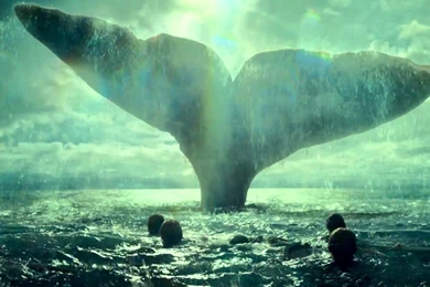 Moby Dick Wallpapers