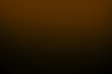 15 Wonderful HD Brown Wallpapers HDWallSource.com