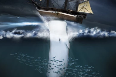 Moby Dick By Dr phoenix On DeviantArt