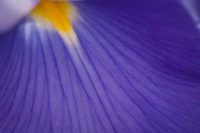 F14 Artwork Supplemental Wallpapers Submissions   FedoraProject