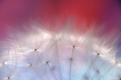 Ubuntu Wallpapers Contest Closes, These Are Our 8 Faves   OMG! Ubuntu!