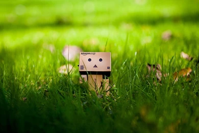 Desktop Cute Green Apple Wallpapers Download