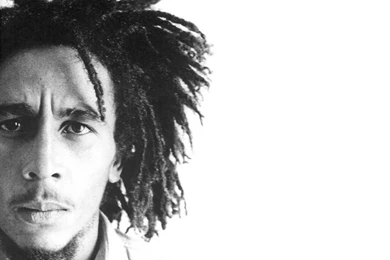 The Natural Mystic   Bob Marley Concerts And Rastafari