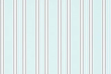 Pinstripe Wallpapers By Designers Guild