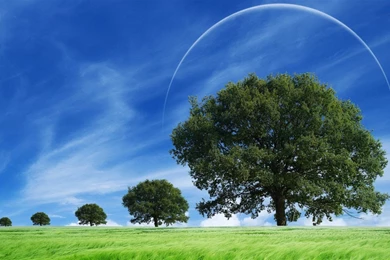 Nature Scenery Images   Wallpapers HD Fine