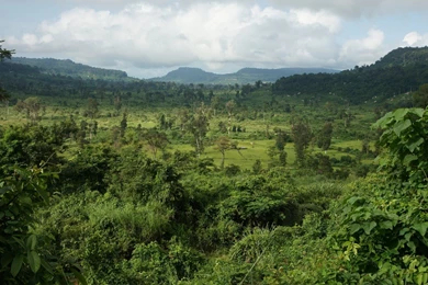 Nature Full Hd 1080P Wallpaper, Desktop HD Wallpapers, Nature ...