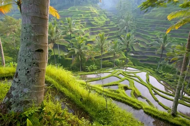 Hearst Castle Indoor Swimming Pool