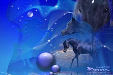 Backgrounds Pictures For Computer Screen