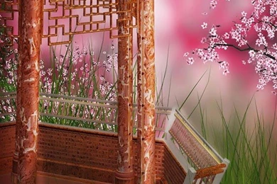 Sakura Live Wallpapers