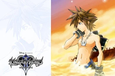 Kingdom Hearts Wallpapers – Free Kingdom Hearts Desktop Wallpapers