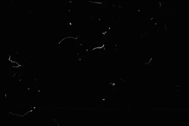 Backgrounds Was An Old Movie Effect 2 HD 1080 16 9   YouTube