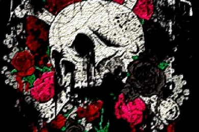 Bfmv Music Artists Wallpapers For iPhone Download Free