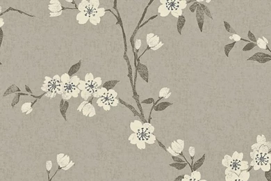 David Dangerous: John Lewis Wallpapers   Cherry Blossom