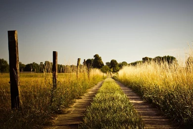 Landscape On The Road   Pictures Collection Free Download ...