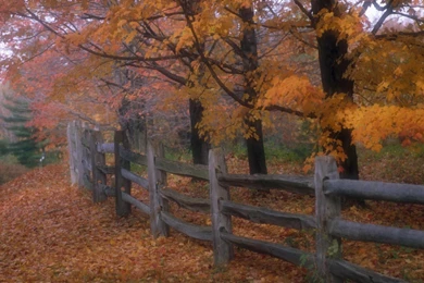 Country Fence, Scenery, 1920x1080 HD Wallpapers And FREE Stock Photo