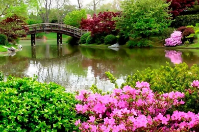 SOOTHING SUNDAY SCENERY   25 BEAUTIFUL PHOTOS FROM AROUND PLANET ...