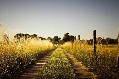 Beautiful Nature Scenery Wallpapers   Wallpaper.