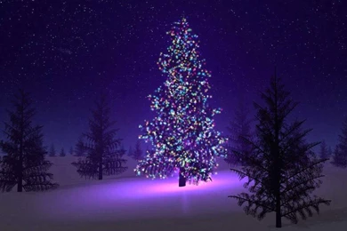 Reon Kadena Wallpapers   HD Wallpapers (High Definition)