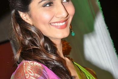 Download Vaani Kapoor In South Indian Typical Woman Wallpapers HD ...